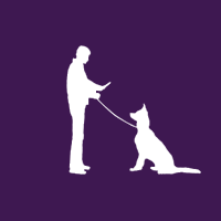 Dog Training Insitute