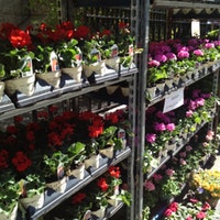 Flowers Shop