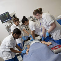 Nursing Colleges